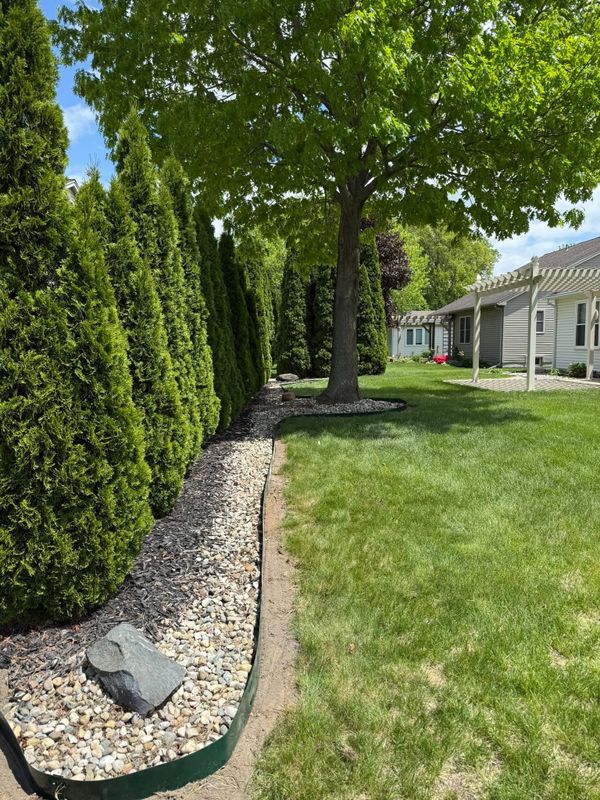 Tree & Shrub Care
