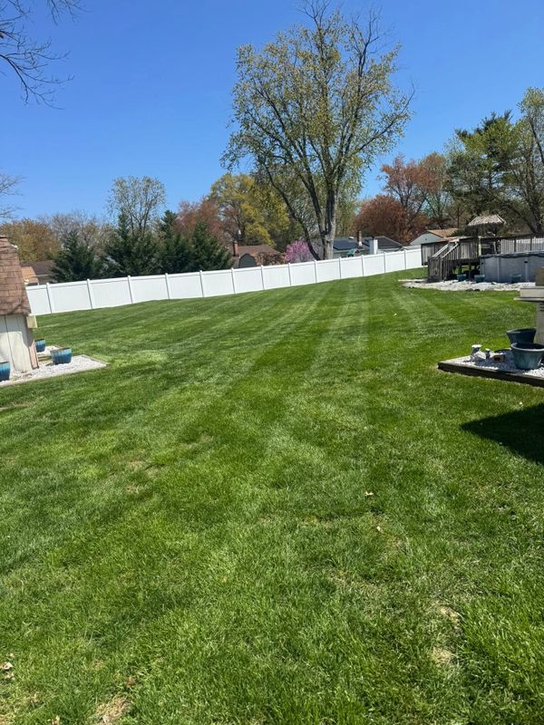 Lawn Maintenance