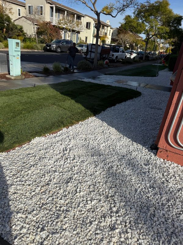 Landscaping