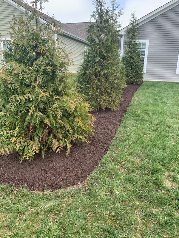 Landscaping