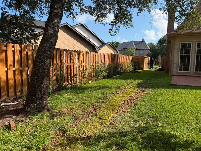 Landscape Design