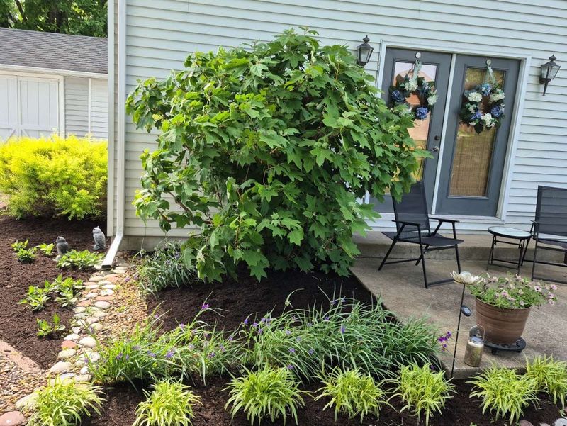 Mulching