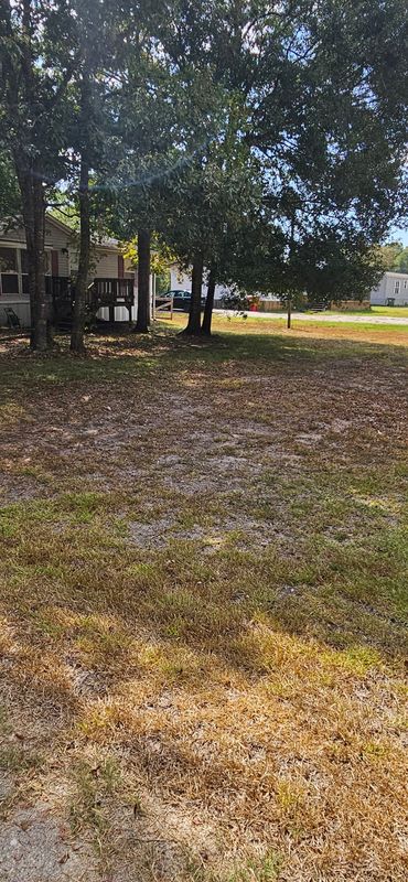Yard Clean Ups & Seasonal Services