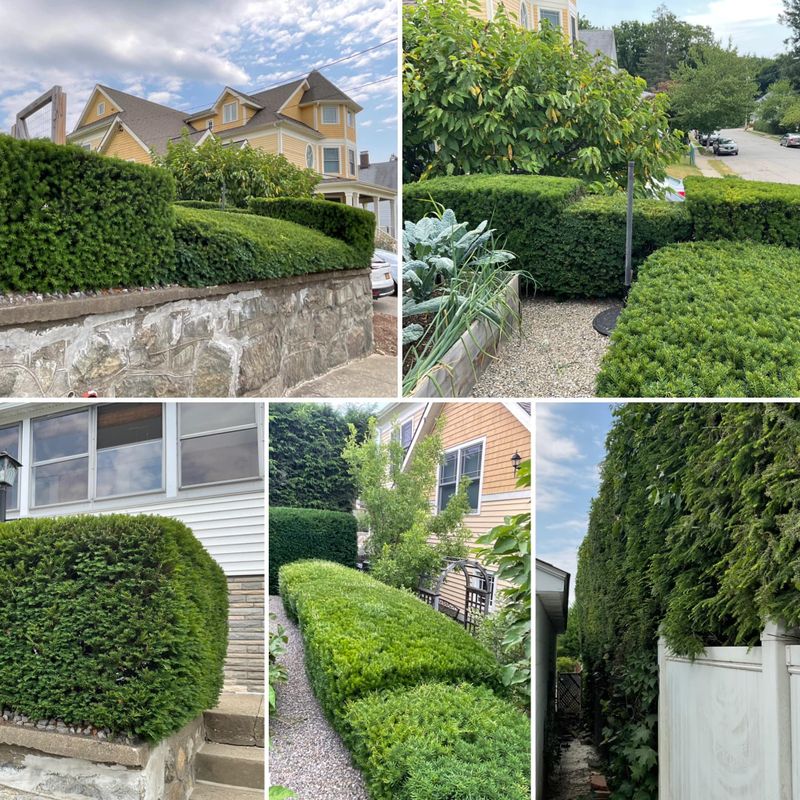 Landscaping
