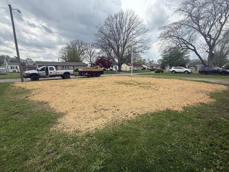 Site Preparation