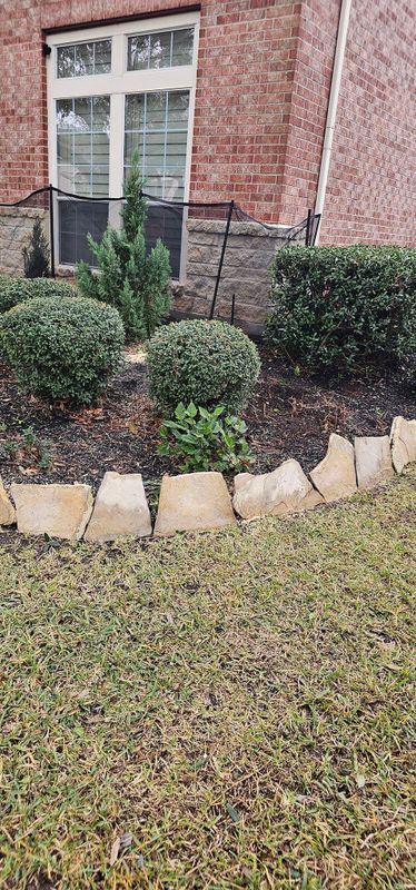Shrub Trimming