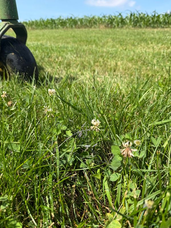 Seasonal Lawn Care