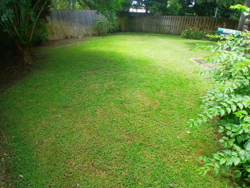 Lawn Maintenance