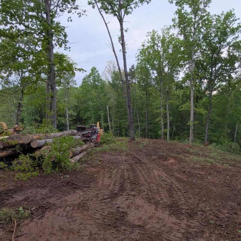 Land Clearing Photos