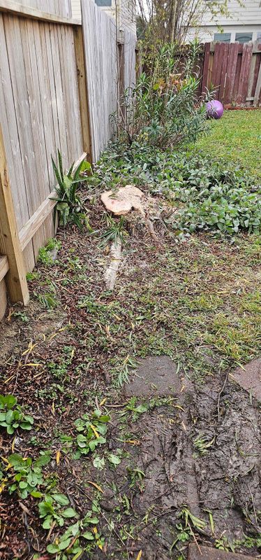 Stump Removal