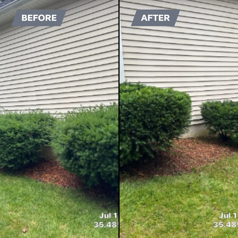 Lawn Care Services