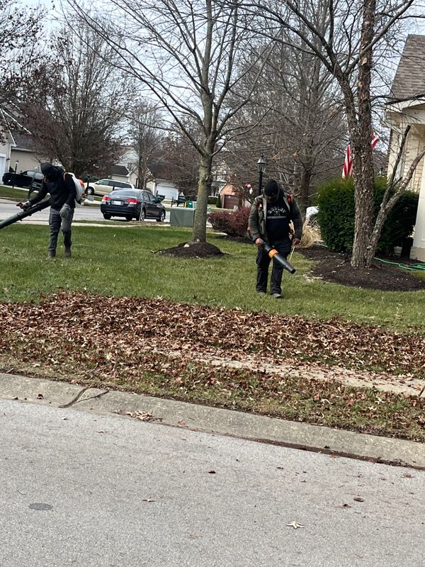 Fall clean up