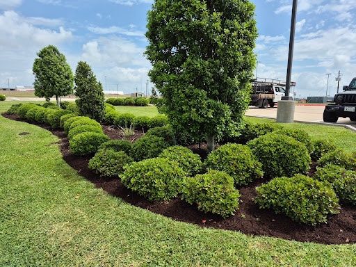 Lawn Maintenance