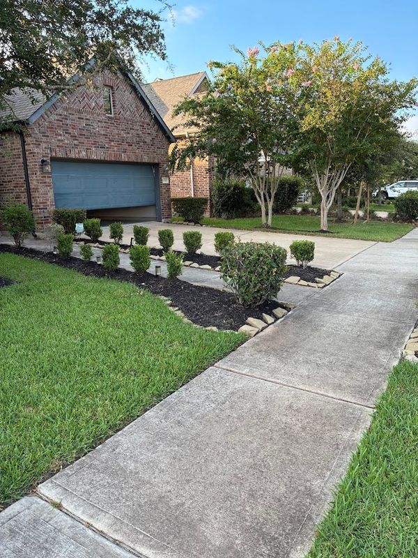 Driveway and Sidewalk Revitalization