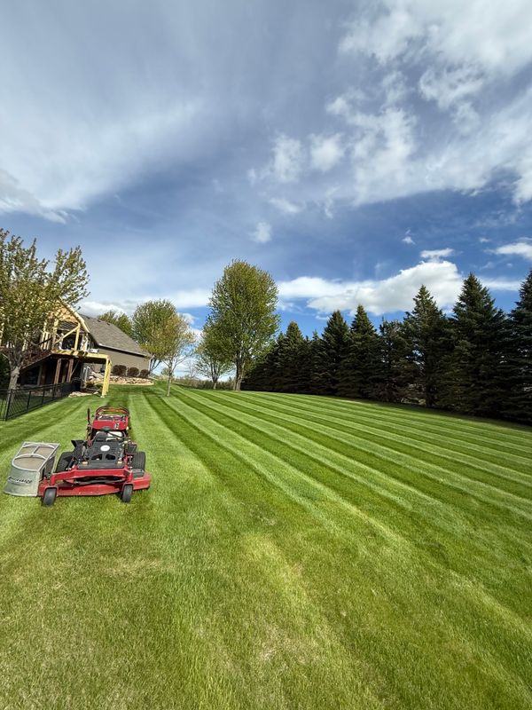Lawn Maintenance
