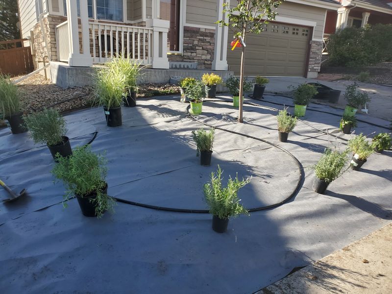 Landscaping