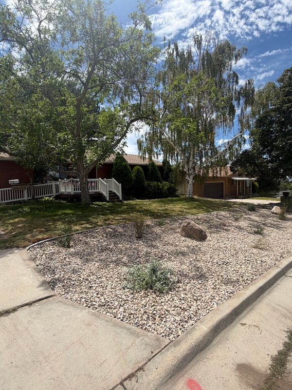 Smart Irrigation and Native Plant Xeriscape Front Yard Upgrade