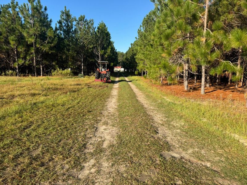 Forestry Mulching