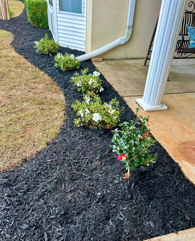 Landscape Bed Maintenance