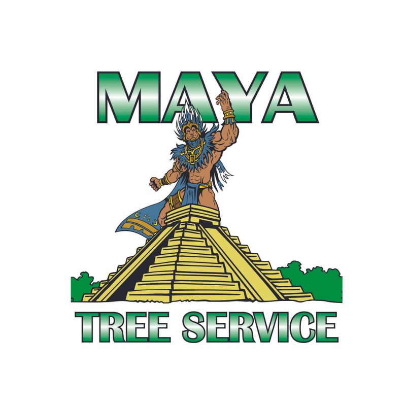Arborist Services