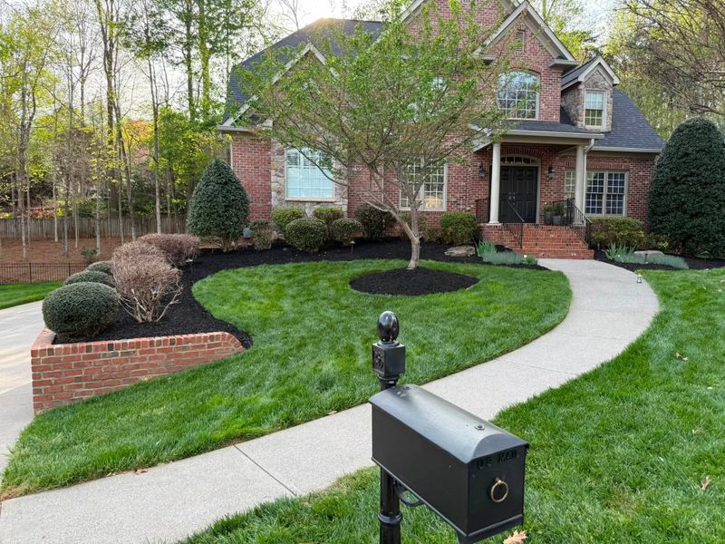 Landscape Design & Installation
