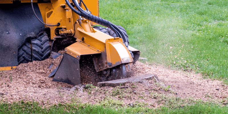 Tree Trimming & Stump Grinding CC#B01804