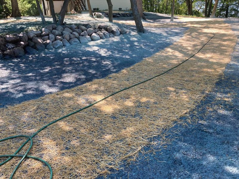Erosion control / Hydroseeding gallery