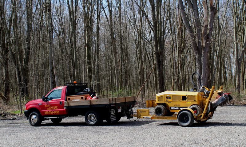 Stump Removal