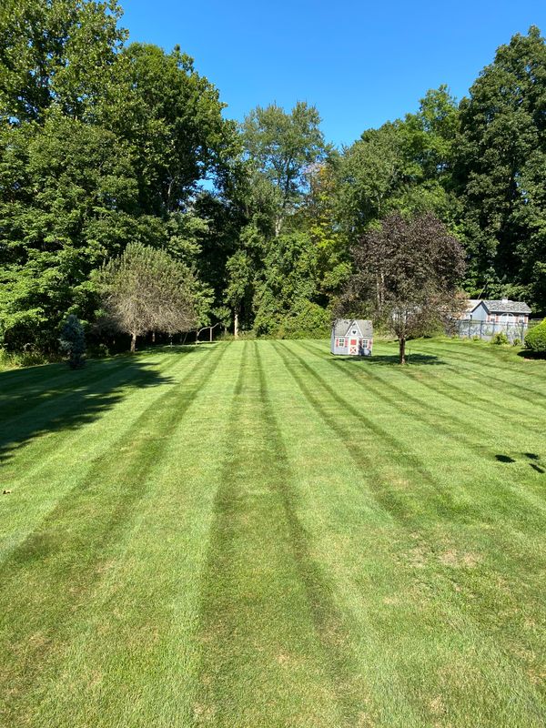 Lawn Maintenance
