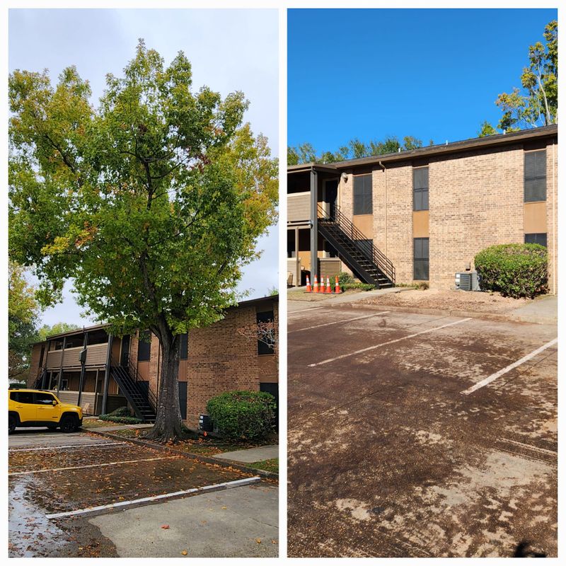 Seasonal Cleanup