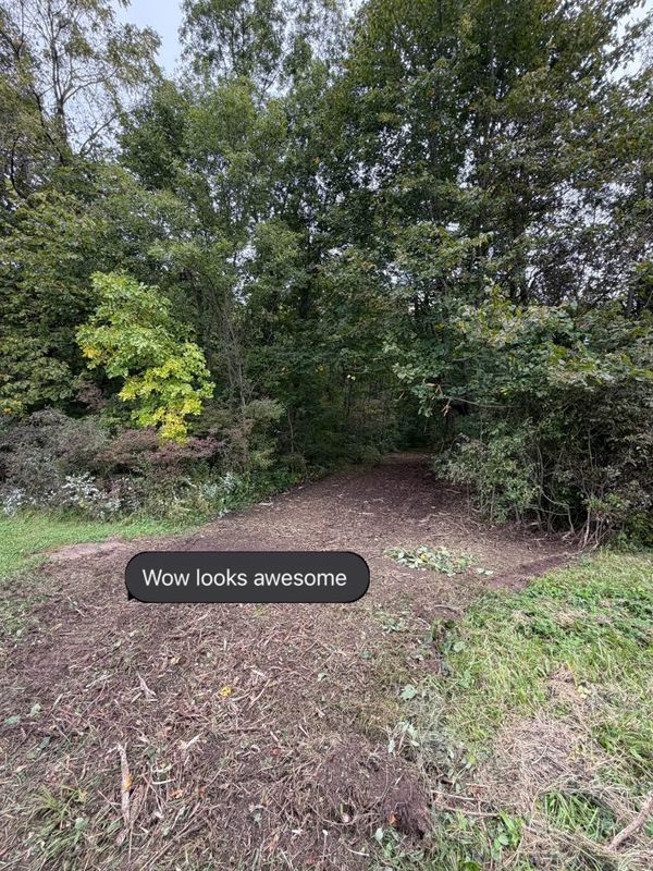 Land Clearing