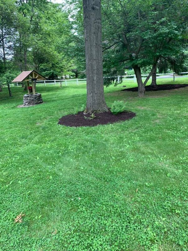Mulch Installation