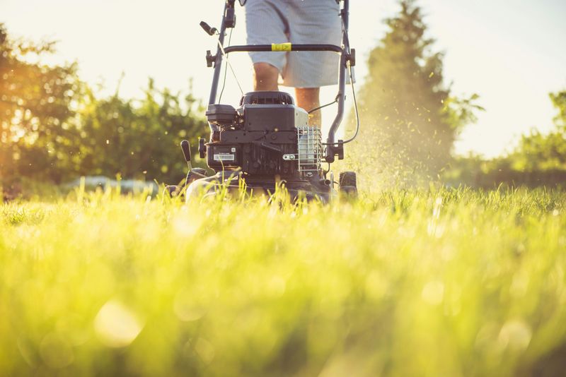 Lawn care