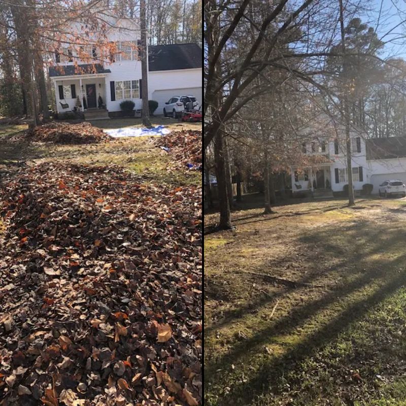 Fall Clean Up