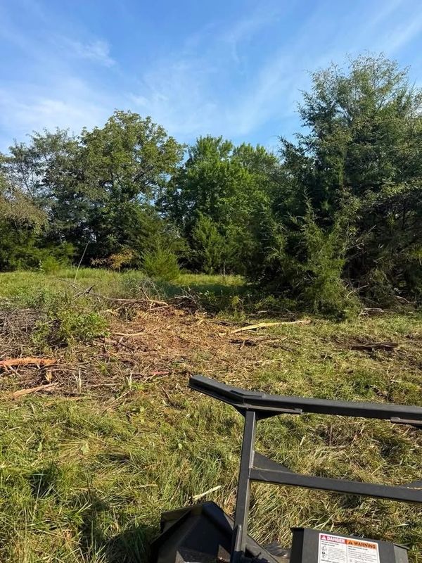 Land Clearing