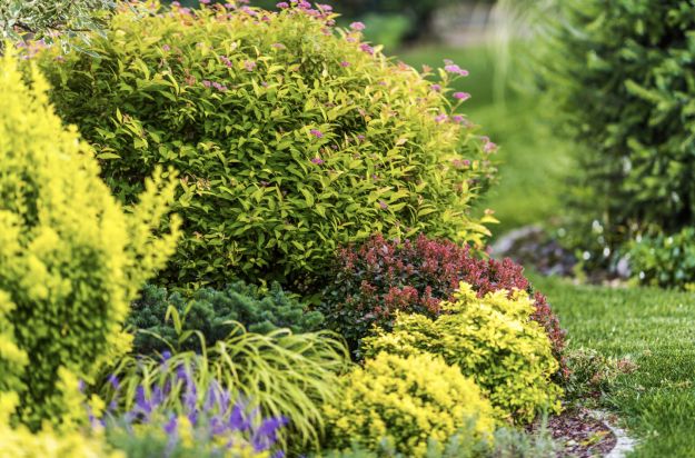 Landscape Design