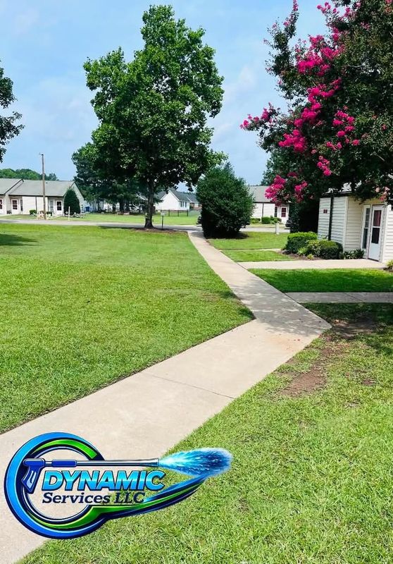 Driveway and Sidewalk Cleaning