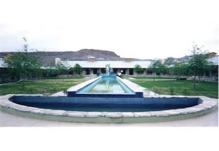Custom Pool Construction