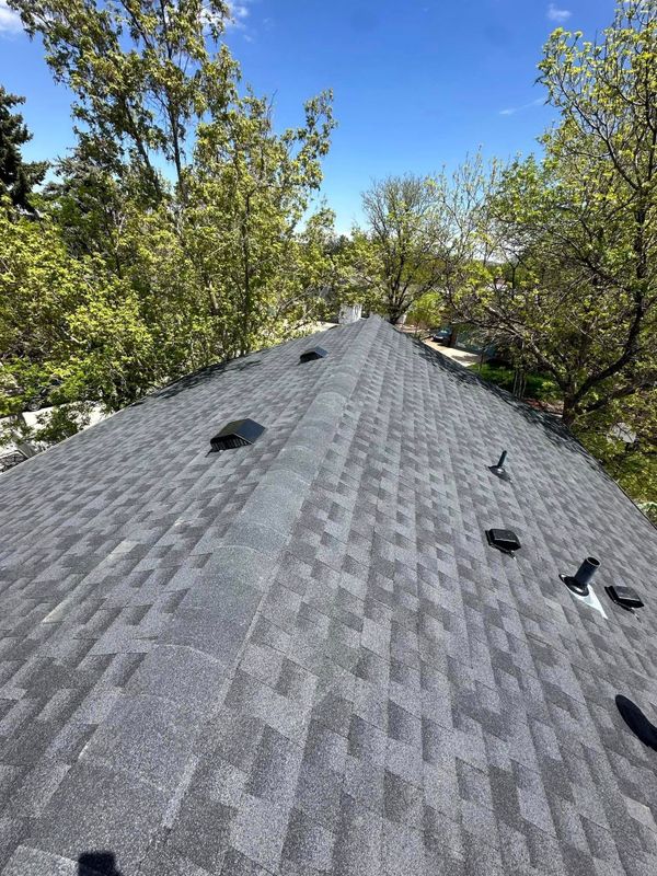 Roofing Repairs