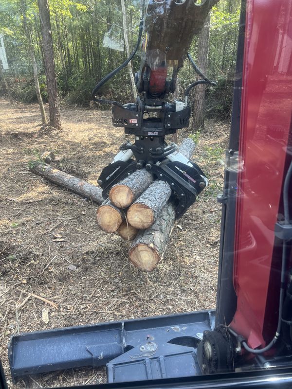 Tree Removal
