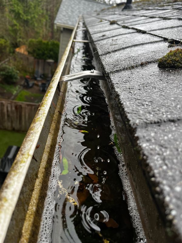 Gutter Cleaning