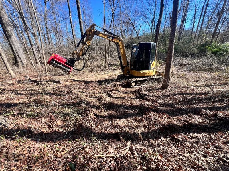 Excavation