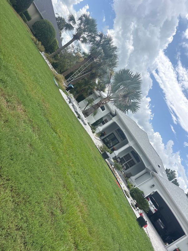 Lawn Maintenance