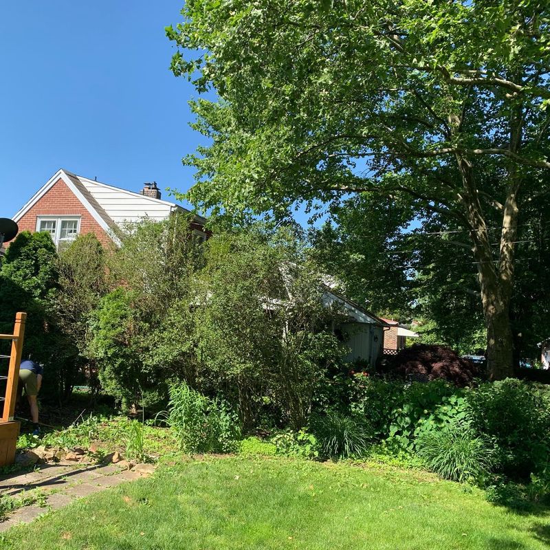 Landscaping