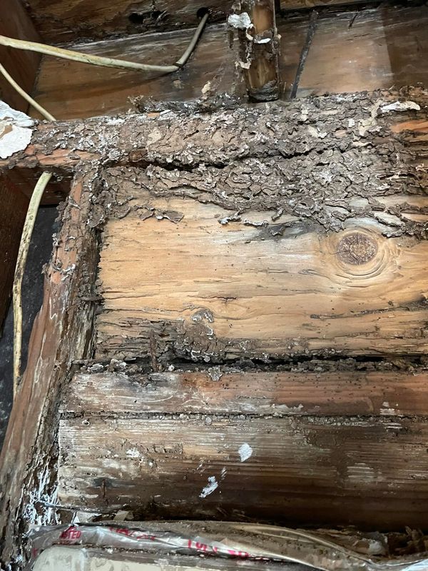 Termite Inspection & Treatment