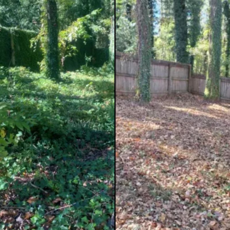 Brush Clearing