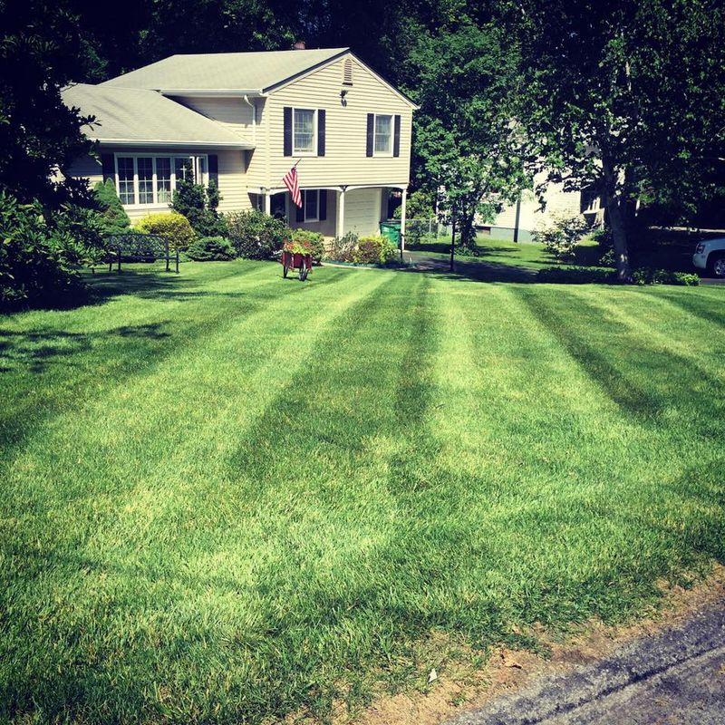 Lawn Aeration