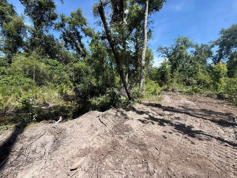 Land Clearing