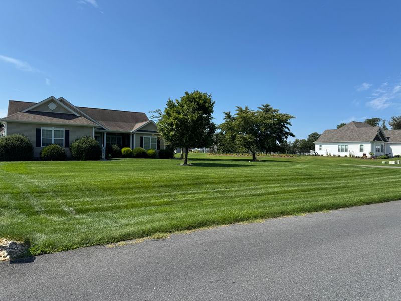 Lawn Mowing & Maintenance