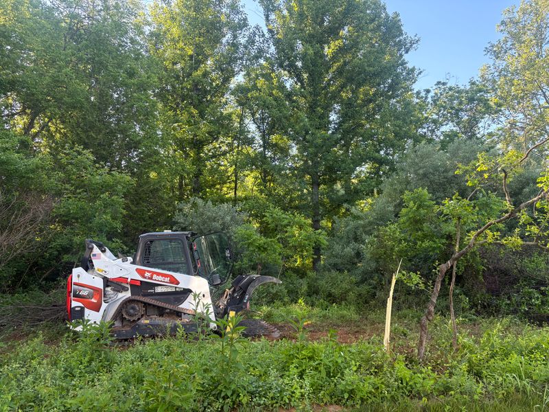Excavation/Grading